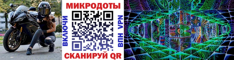 Псилоцибиновые грибы Cubensis  дарк нет как зайти  Тайга 