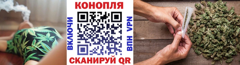 Каннабис индика  Тайга 